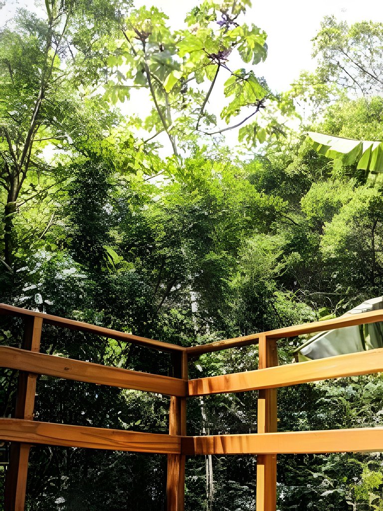 Morada selva luz e cor.